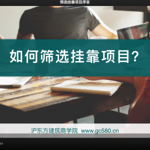 如何筛选挂靠项目
