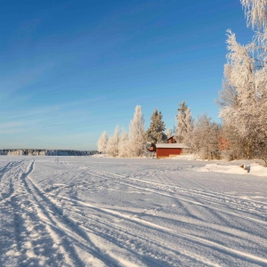 winter1