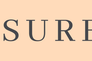 Pleasure_logo_240x1260