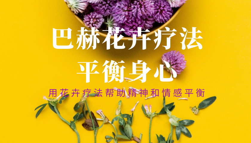微信图片_20200308094525