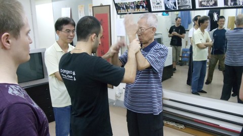 正念咏春拳在线课程-完整传承叶问师父