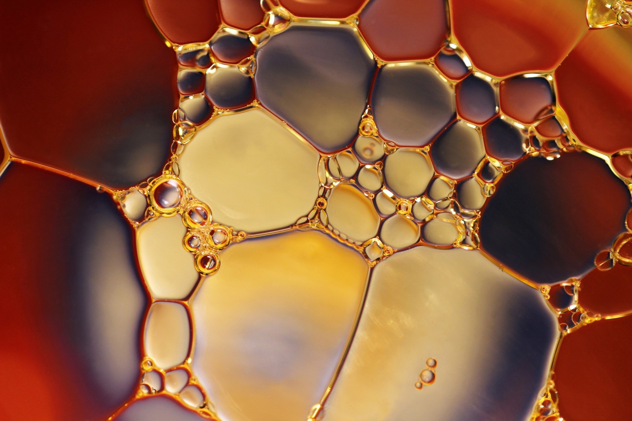 bubbles-chemistry-close-up-220989