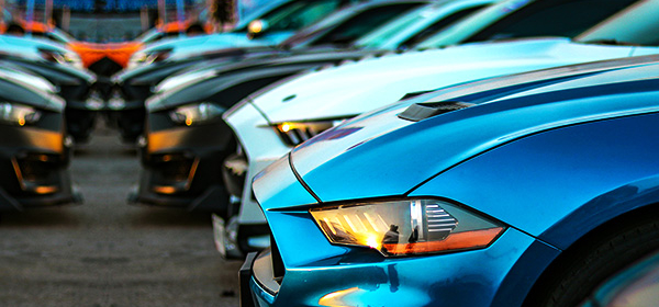 20260129-愛爾蘭-網