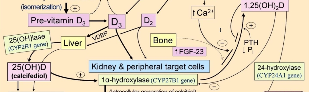 iShot_2024-10-31_11.42.21