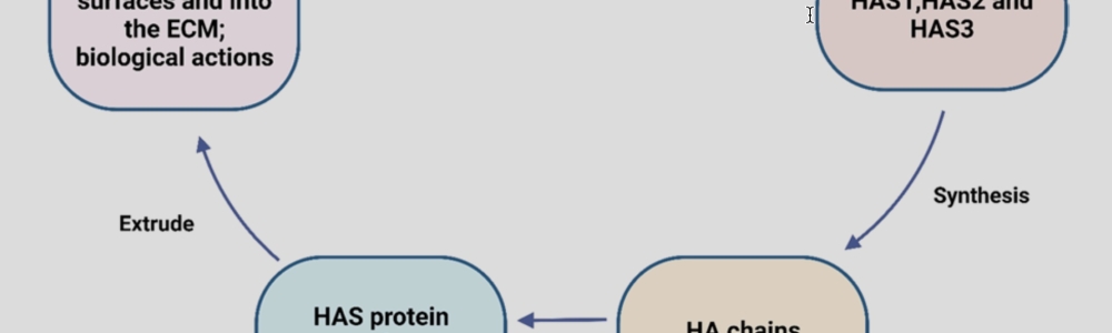 iShot_2025-01-03_12.32.28