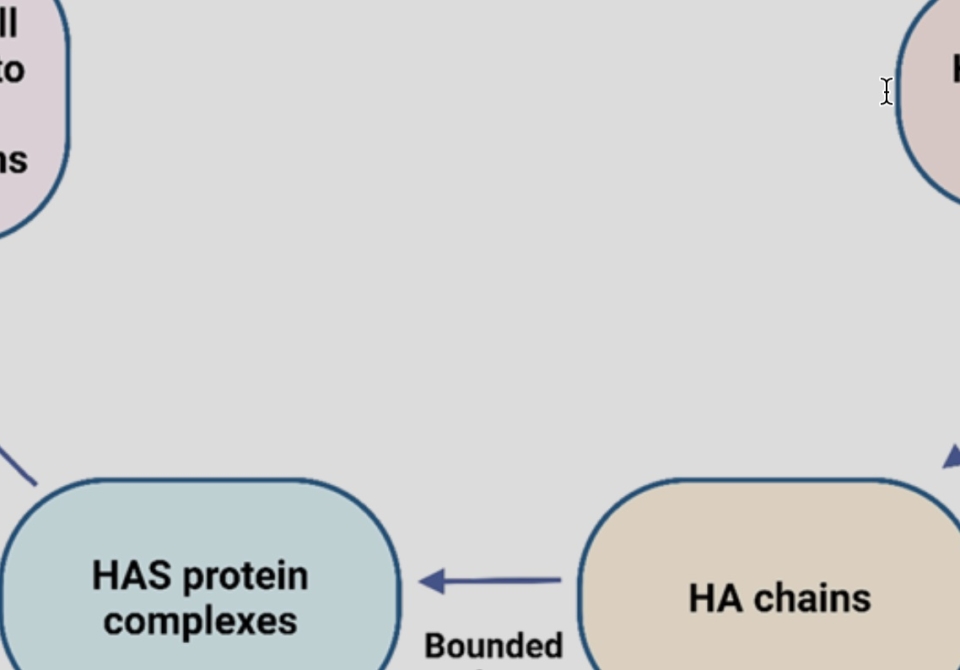 iShot_2025-01-03_12.32.28